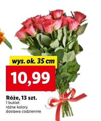 Lidl Róże 35 cm oferta