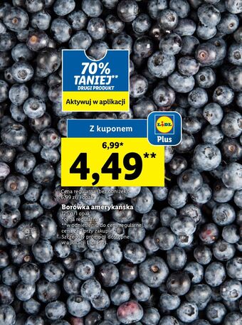 Lidl Borówka amerykańska oferta