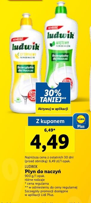 Lidl Płyn do mycia naczyń miętowy ludwik oferta
