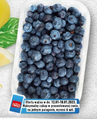 Topaz Borówka amerykańska oferta