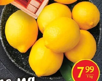 Delikatesy Centrum Cytryna oferta