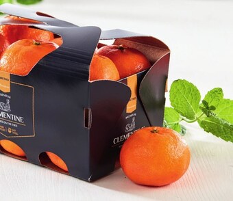 Makro Mandarynki oferta