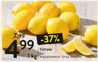 Intermarche Cytryna 1kg oferta