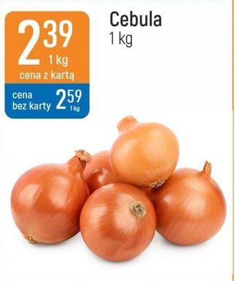 E.Leclerc Cebula oferta