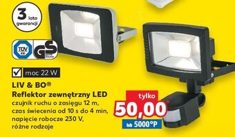 Kaufland Reflektor zewnętrzny led 22 w liv & bo oferta