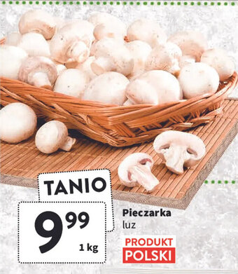 Intermarche Pieczarka luz 1 kg oferta