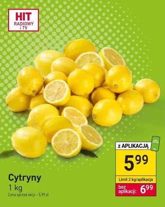 Stokrotka Cytryna oferta