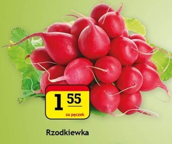 Gram Market Rzodkiewki oferta