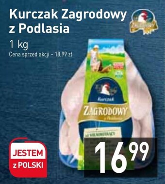 Stokrotka Kurczak zagrodowy oferta