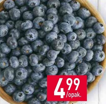 Stokrotka Borówki amerykańskie oferta