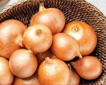 Polomarket Cebula oferta