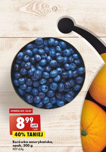 Biedronka Borówki amerykańskie oferta