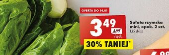 Biedronka Sałatka rzymska mini oferta