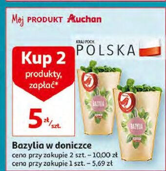 Auchan Bazylia auchan różnorodne (logo czerwone) oferta