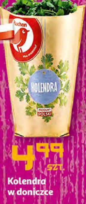 Auchan Kolendra auchan różnorodne (logo czerwone) oferta