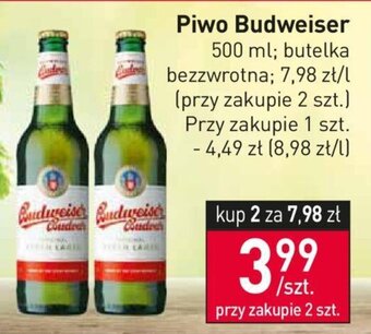 Stokrotka Budweiser Piwo 500ml oferta