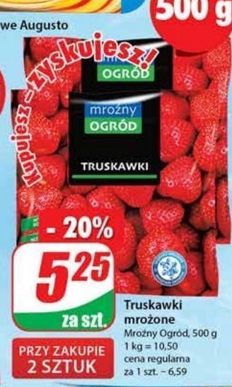 Dino Truskawki mroźny ogród oferta