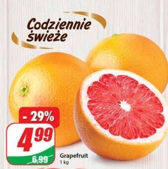 Dino Grapefruit czerwony oferta