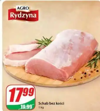 Dino Schab bez kości agro rydzyna oferta