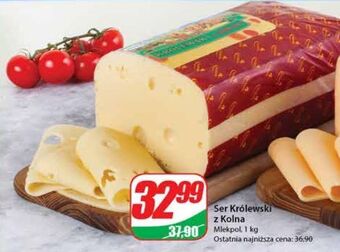 Dino Ser królewski z kolna mlekpol oferta
