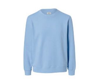 Bluza