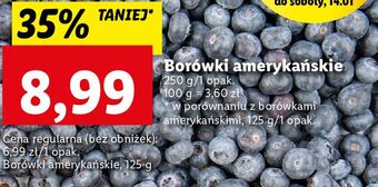 Lidl Borówka amerykańska oferta