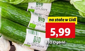 Lidl Ogórek bio oferta