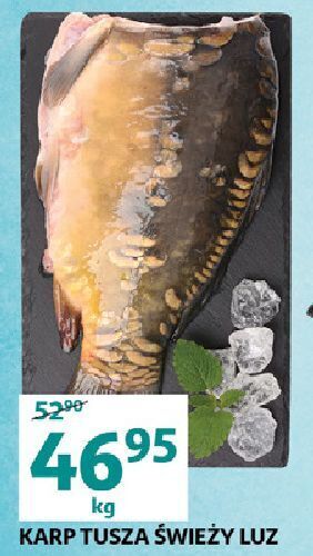 Auchan Karp tusza oferta