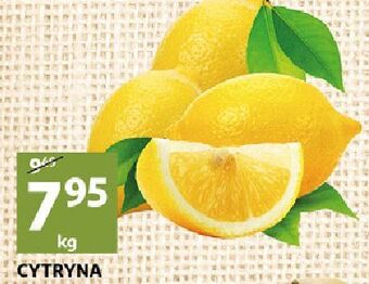 Auchan Cytryny oferta