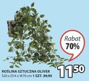 JYSK Roślina sztuczna Oliver S20xD14xW70cm oferta