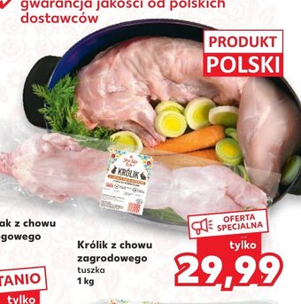 Kaufland Królik z chowu zagrodowego tuszka 1kg oferta