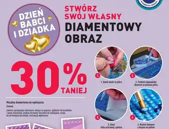 ALDI Stwórz Swój Własny Diamentowy Obraz oferta