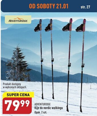 ALDI Adventuridge Kije do nordic walkingu opak. 2szt. oferta