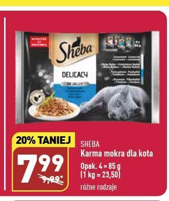 ALDI Karma dla kota smaki rybne sheba delicacy in jelly oferta
