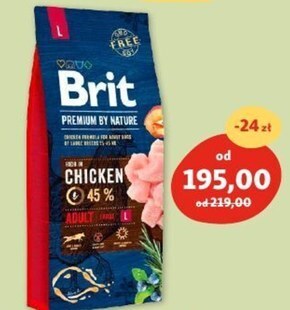 Maxi Zoo Karma dla psa brit oferta