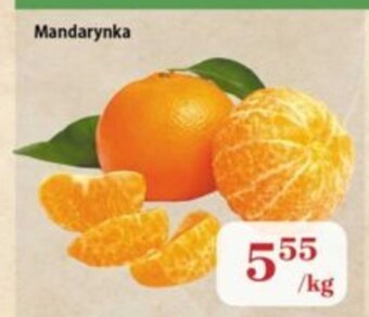 Społem Mandarynki oferta