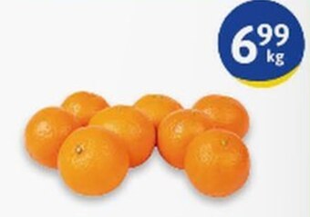 Euro Sklep Mandarynki oferta