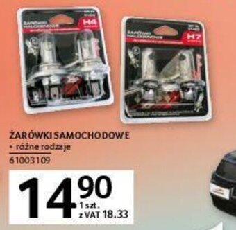 Selgros Żarówki samochodowe oferta