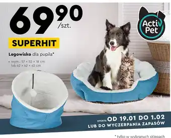 Biedronka Legowisko 42 x cm activ pet oferta