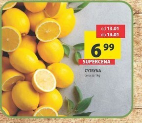 Arhelan Cytryna oferta