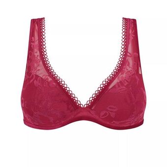 Velvet rose spotlight