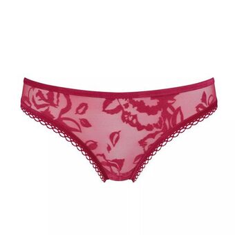 Triumph Velvet rose spotlight oferta