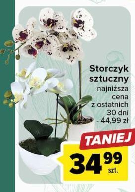 Carrefour Storczyk sztuczny oferta