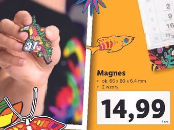 Lidl Magnes wośp oferta