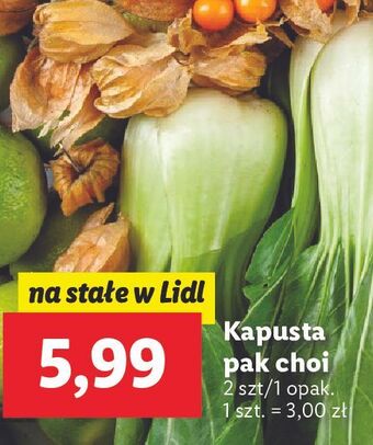 Lidl Kapusta pak choi oferta