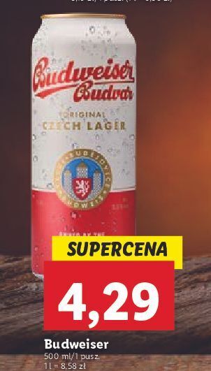 Lidl Piwo budweiser oferta