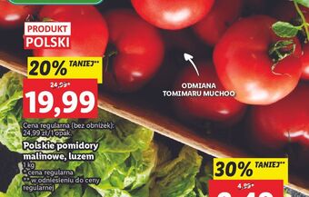 Lidl Pomidory malinowe oferta