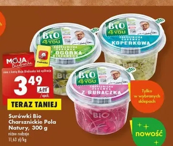 Biedronka Charsznicka surówka z ogórka kiszonego bio4you oferta