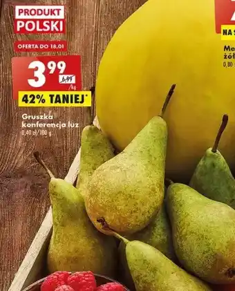 Biedronka Gruszki konferencja oferta