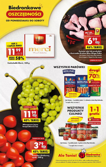 Biedronka Udo z kurczaka kraina mięs oferta